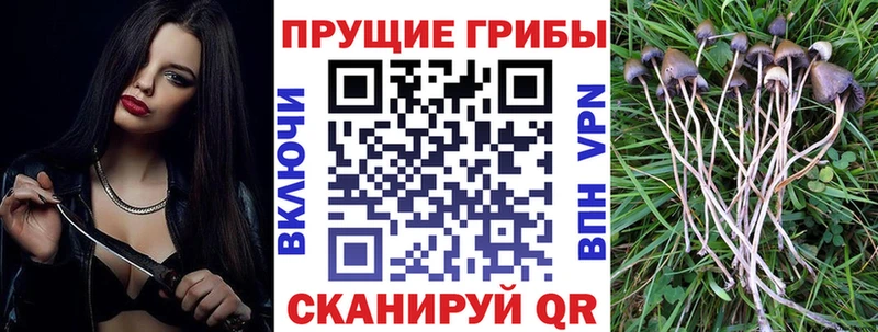 Галлюциногенные грибы MAGIC MUSHROOMS Кизляр