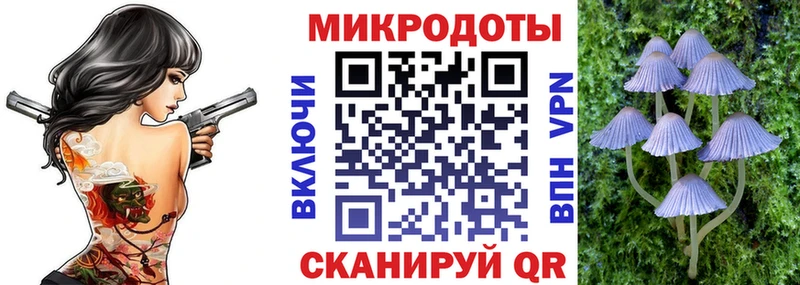 гидра ссылка  Кизляр  Псилоцибиновые грибы Magic Shrooms  где купить  